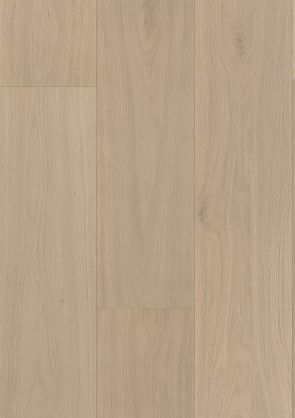 322B Magari Oak