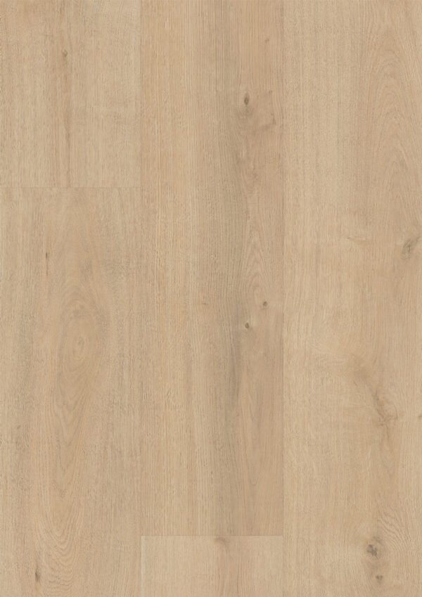 366B Sweetness Vera Oak