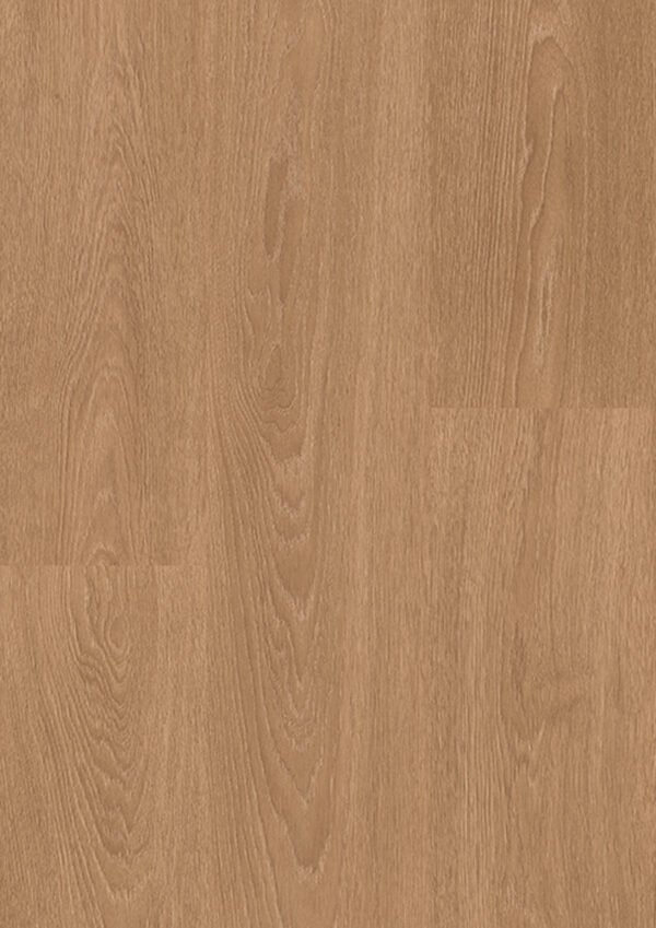39S Dalmata Gaia Oak